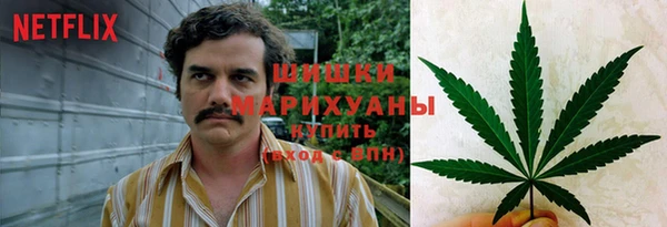 прущие грибы Алексин