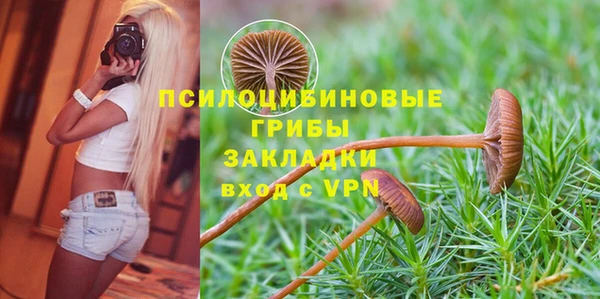 твердый Алексеевка