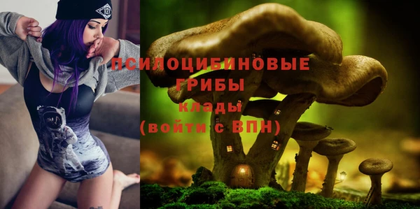 прущие грибы Алексин